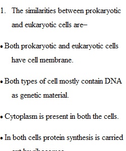 Kepler Cells Report